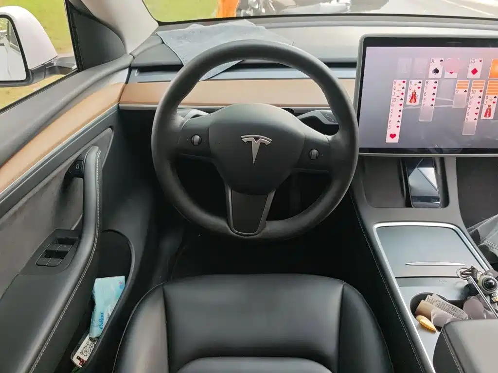 Tesla Model Y — миниатюра 11