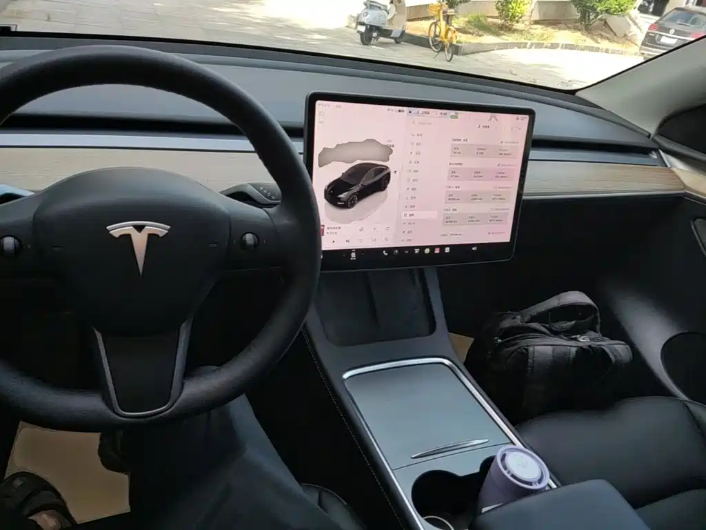 Tesla Model Y — миниатюра 10