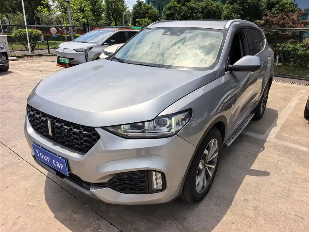 Wey Wey VV6 2019