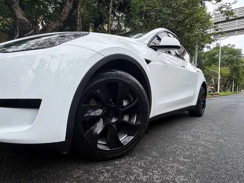 Tesla Model Y — миниатюра 9