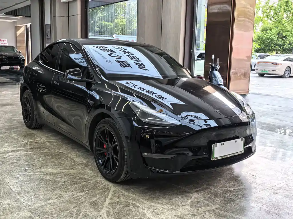 Tesla Model Y — миниатюра 3