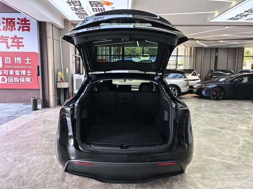 Tesla Model Y — миниатюра 8
