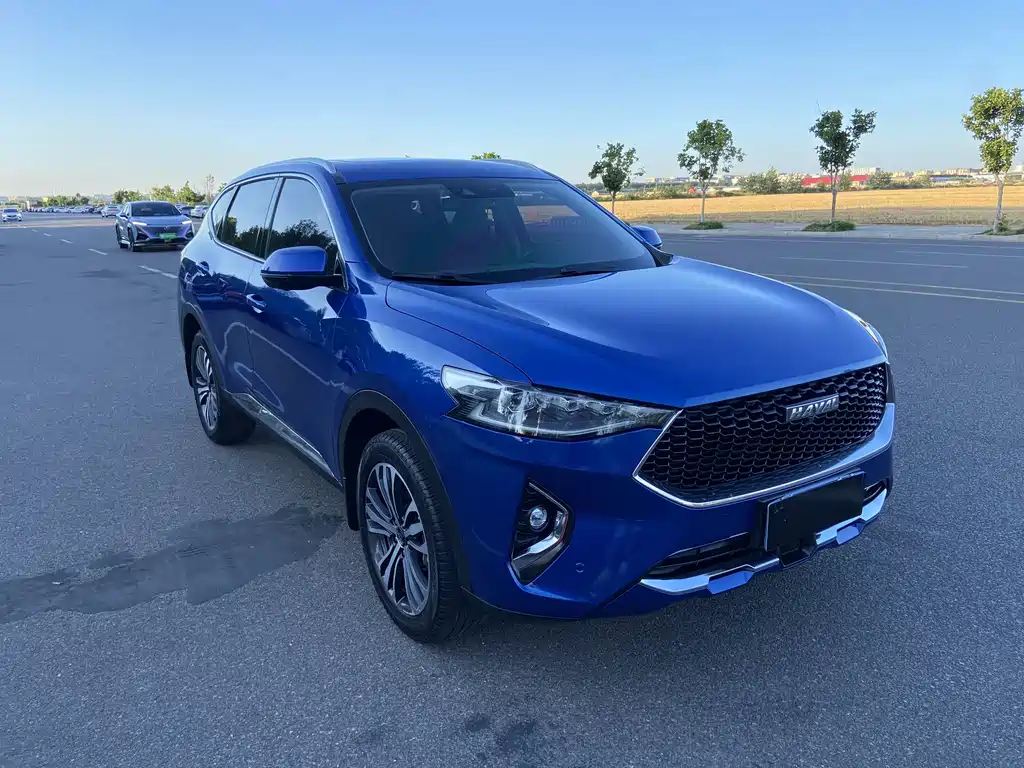 Haval F7 2019 2.0T i VI