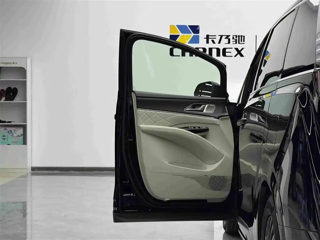Denza Denza D9 — миниатюра 6