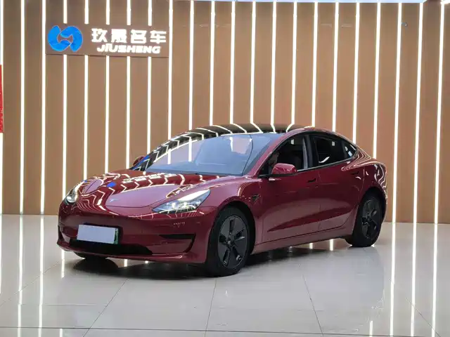 TESLA MODEL 3 2021