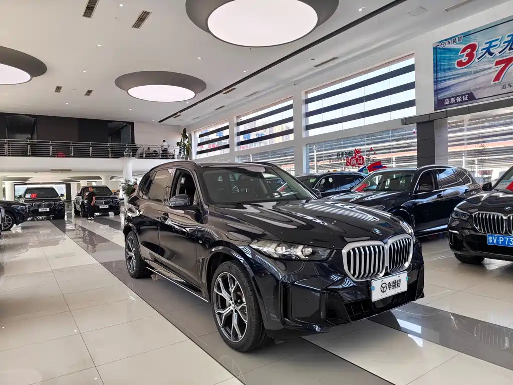 BMW X5 — миниатюра 3