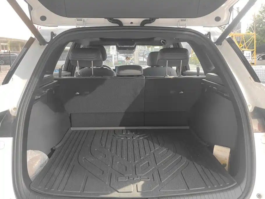 BYD Pro New Energy — миниатюра 4