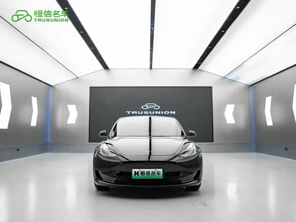 Tesla Model 3 2021 3D6