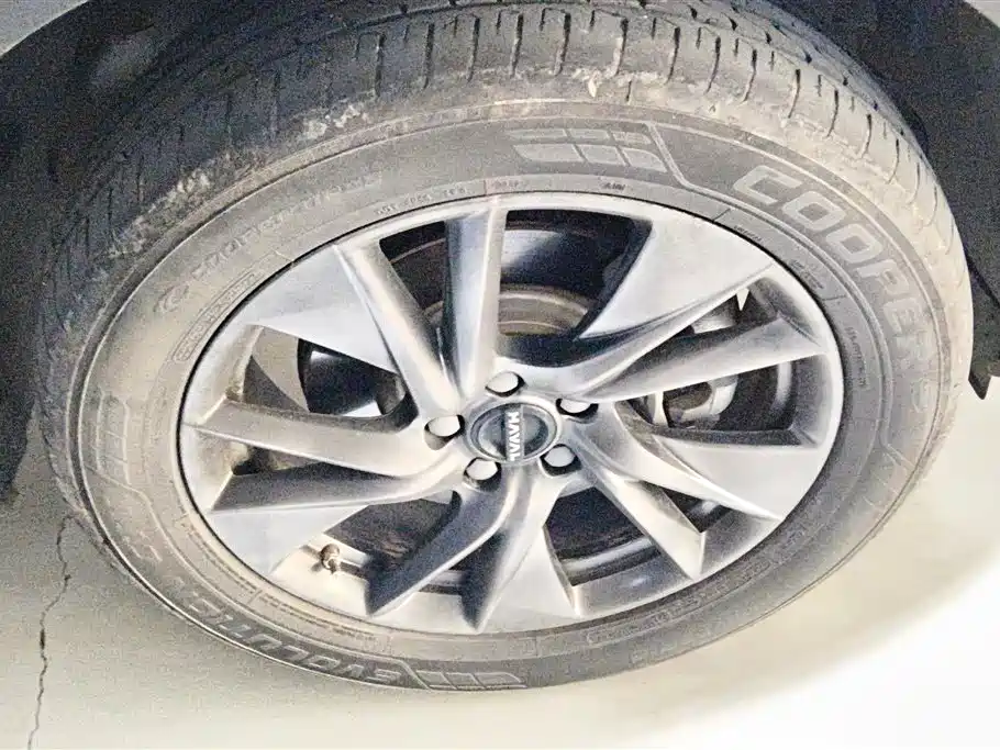 Haval H6 New Energy — миниатюра 6