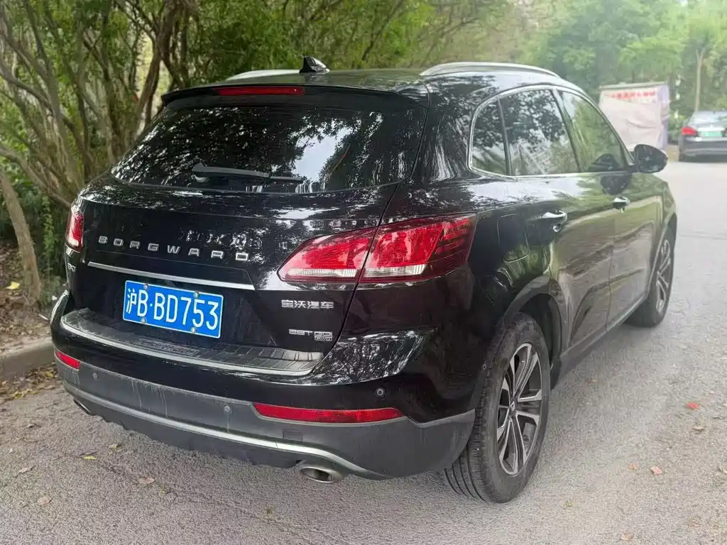 Borgward BX7 — миниатюра 8
