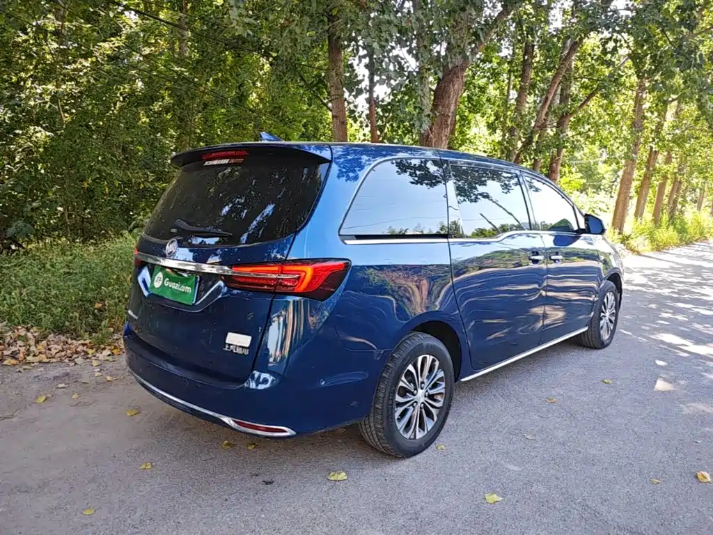 Buick GL8 — миниатюра 7