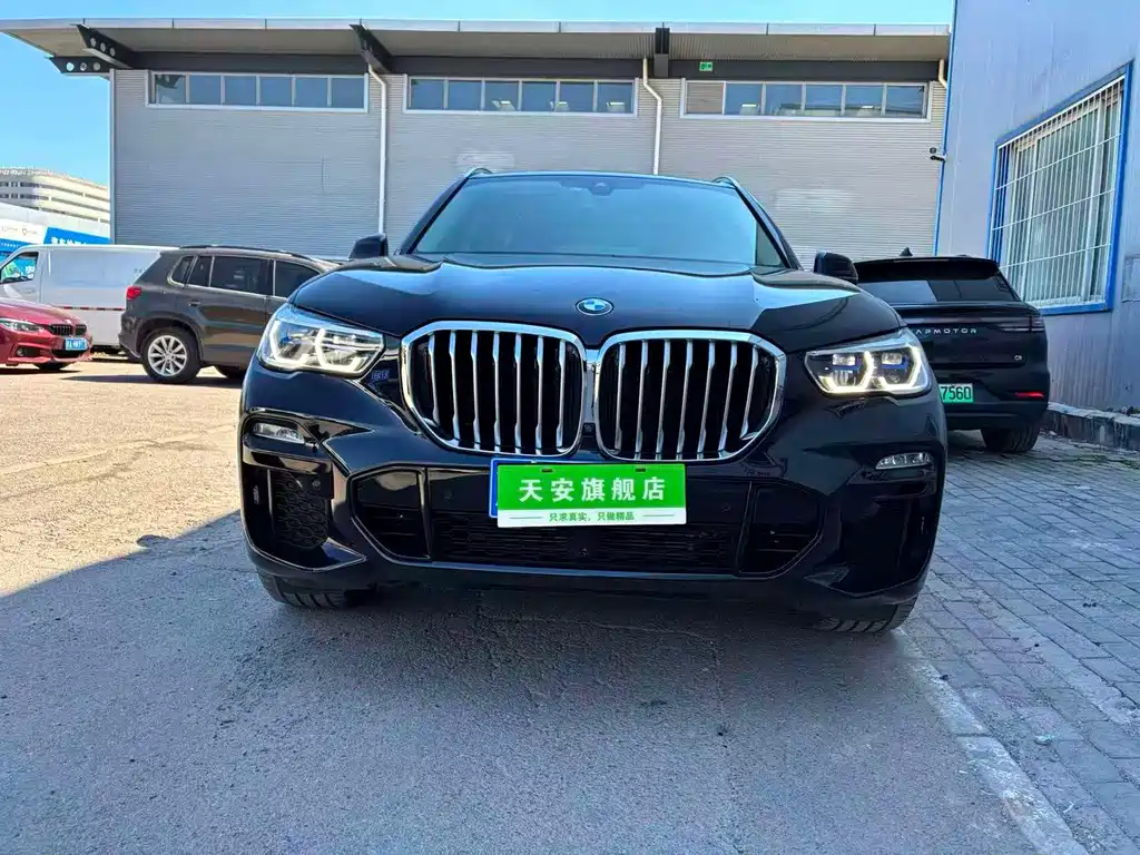 BMW X5 (Import) — миниатюра 2