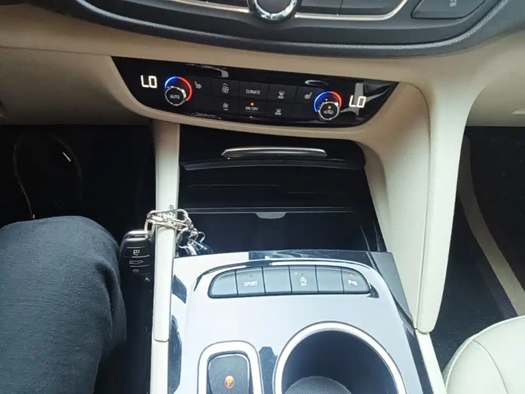 Buick Regal — миниатюра 14