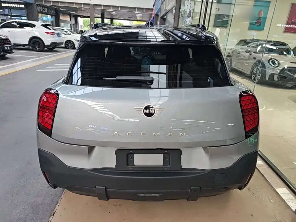 MINI MINI ACEMAN EV — миниатюра 6