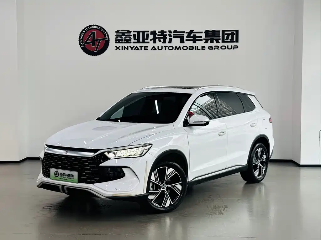 BYD Pro New Energy — миниатюра 2