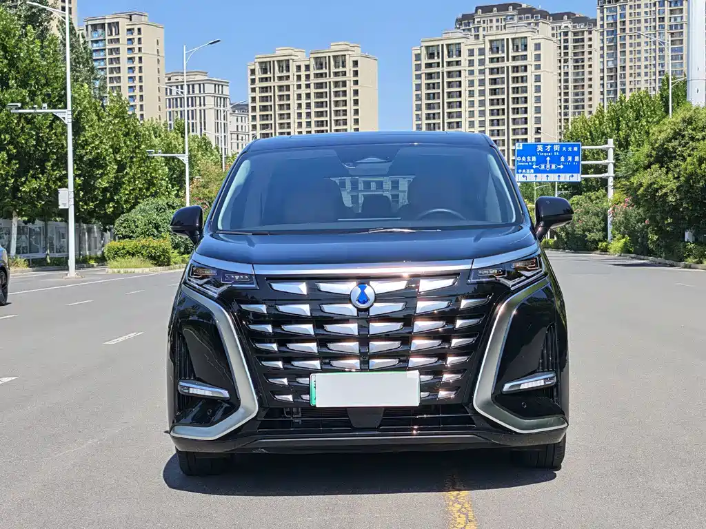 Denza Denza D9 — миниатюра 2