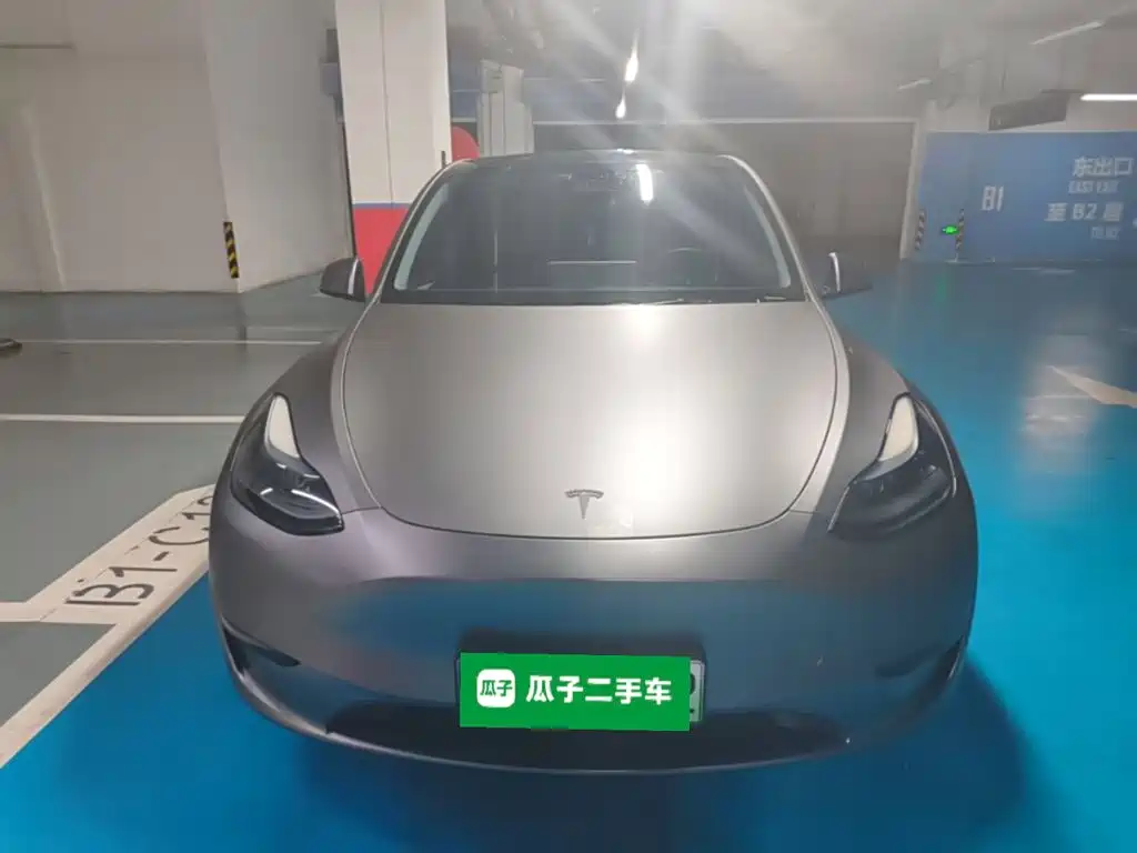 Tesla Model Y — миниатюра 2