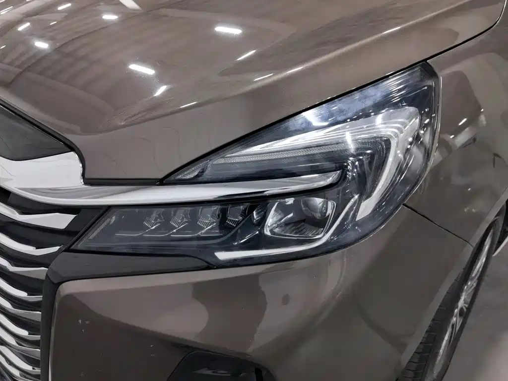 Buick GL8 — миниатюра 7