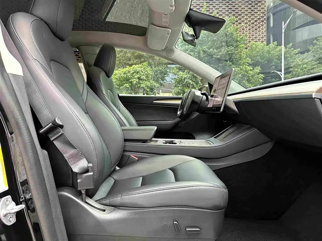 Tesla Model Y — миниатюра 6