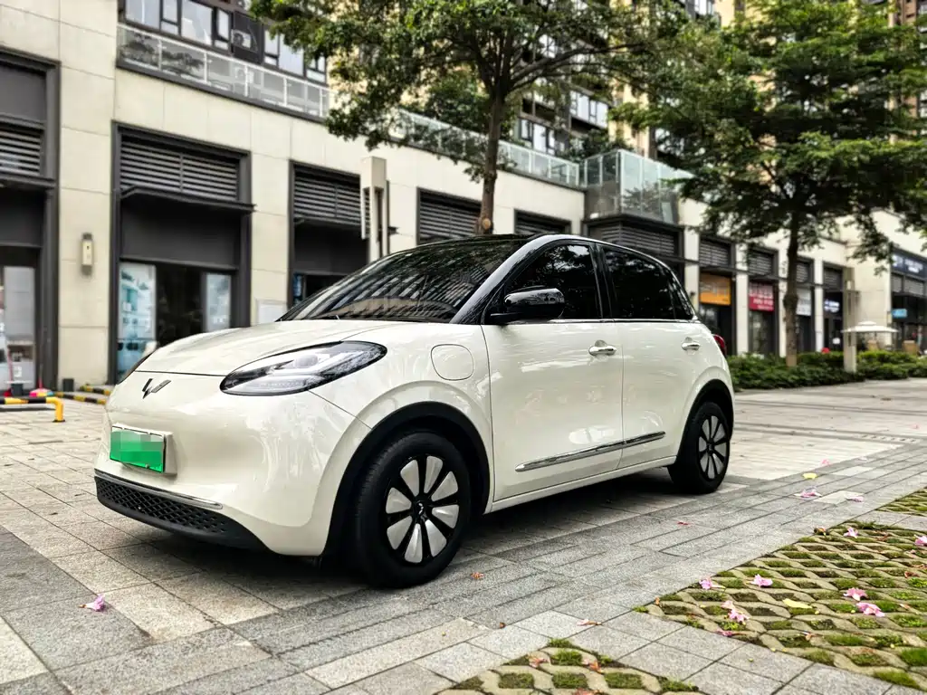Wuling Bingo 2024