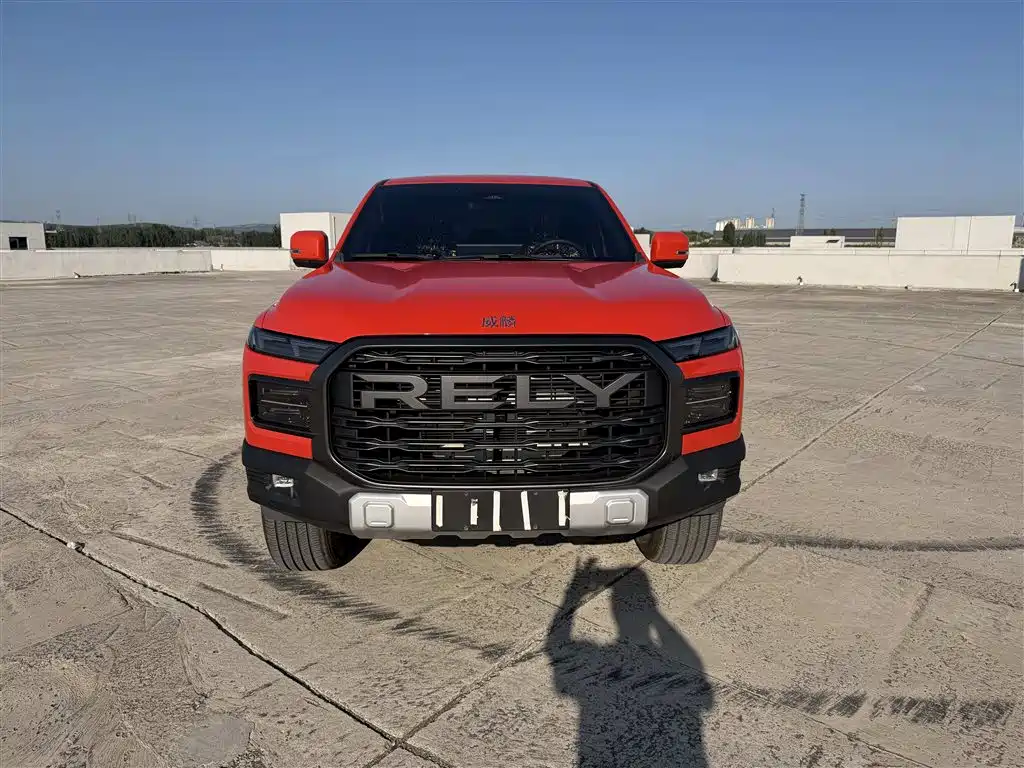 RELY R08 — миниатюра 2