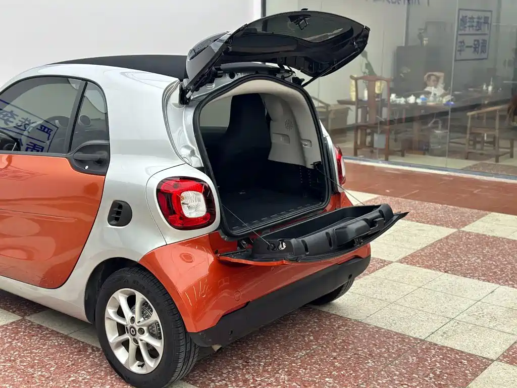 smart Smart Fortwo — миниатюра 24