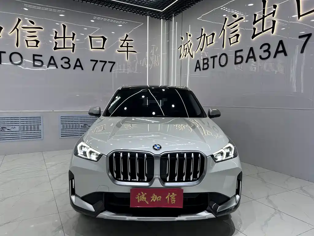 BMW X1 — миниатюра 2