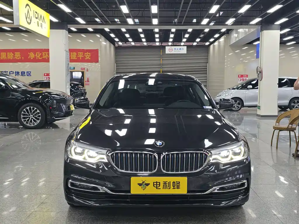 BMW 5 Series 5 2019 530Le Luxury
