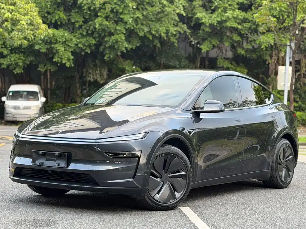 Tesla Model Y — миниатюра 2