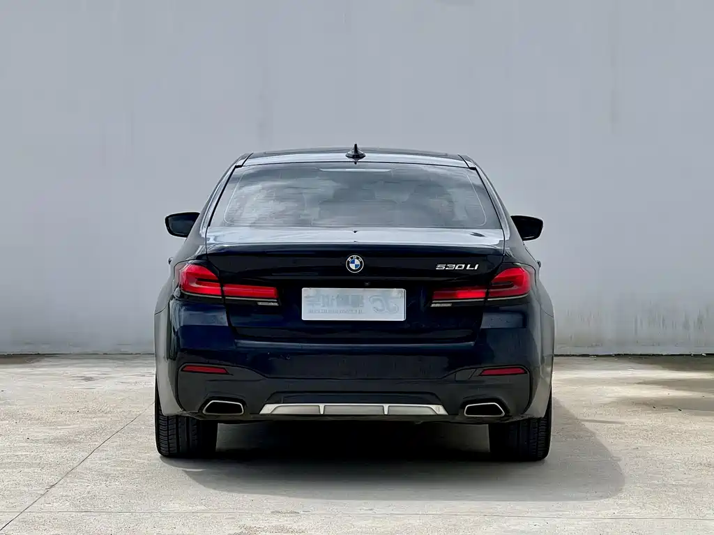 BMW 5 Series — миниатюра 15