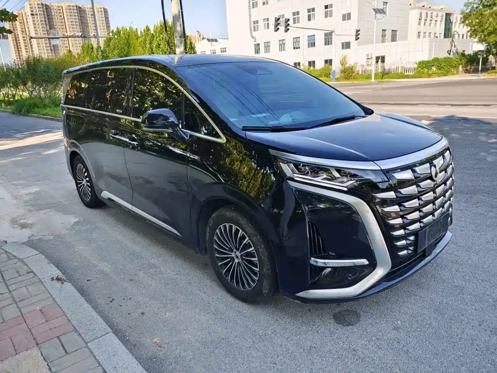Denza Denza D9 — миниатюра 2