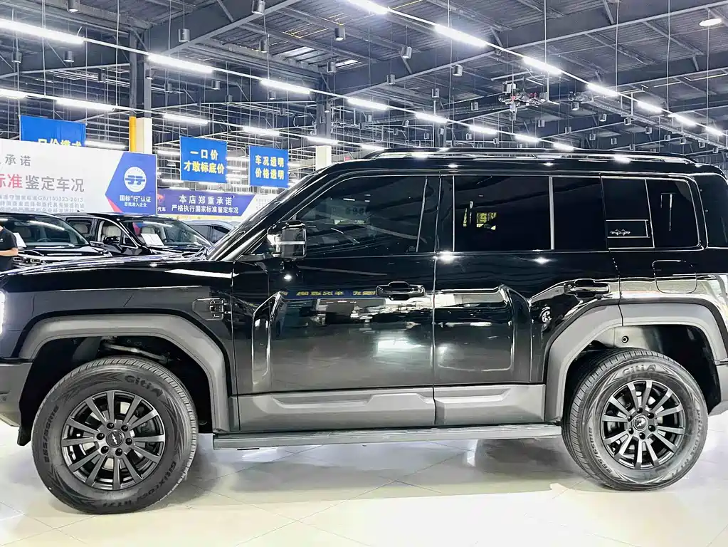 Fang Cheng Bao Leopard 5 — миниатюра 3