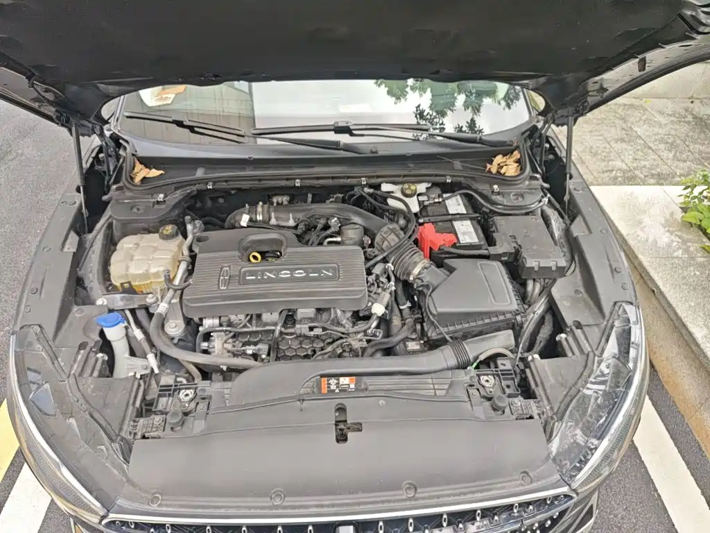 Lincoln Z — миниатюра 21