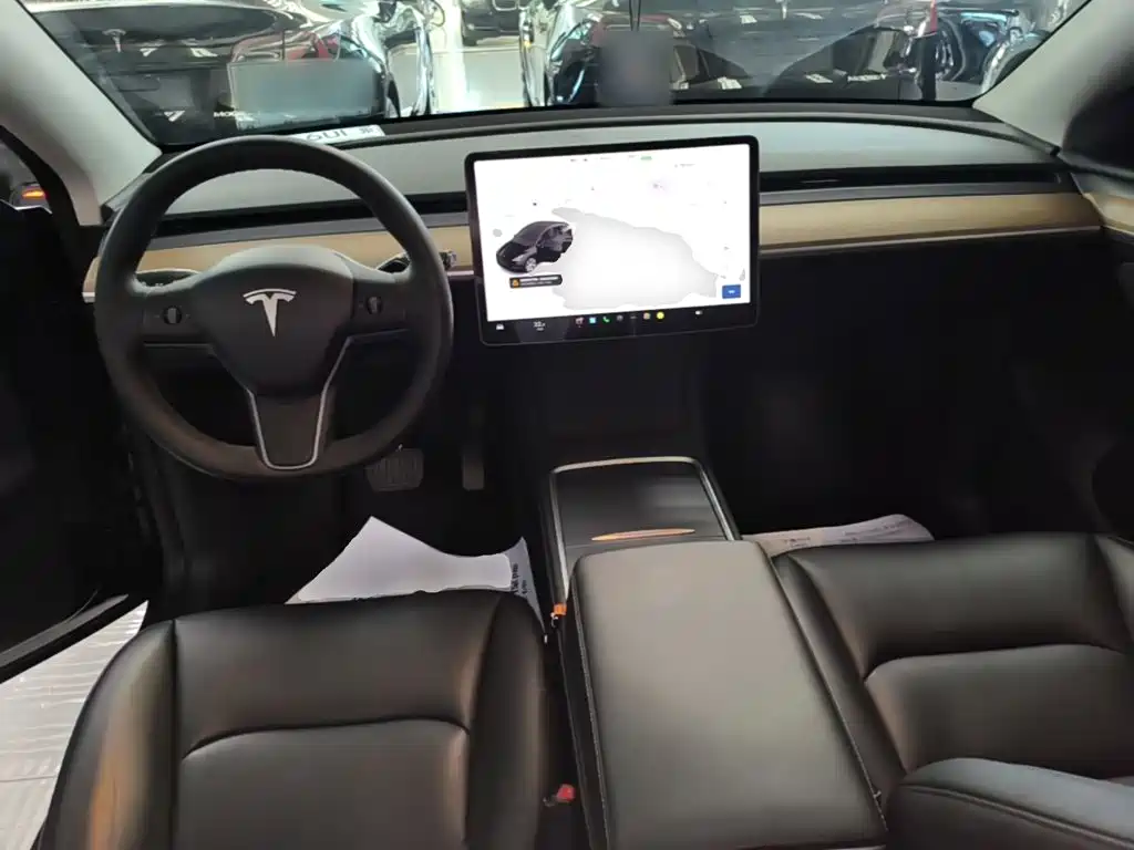 Tesla Model Y — миниатюра 10