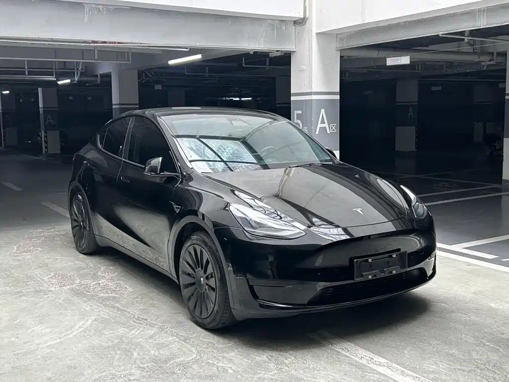Tesla Model Y — миниатюра 3