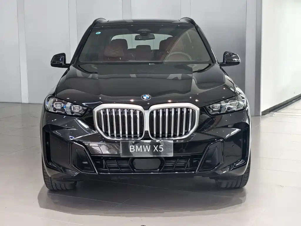 BMW X5 — миниатюра 2