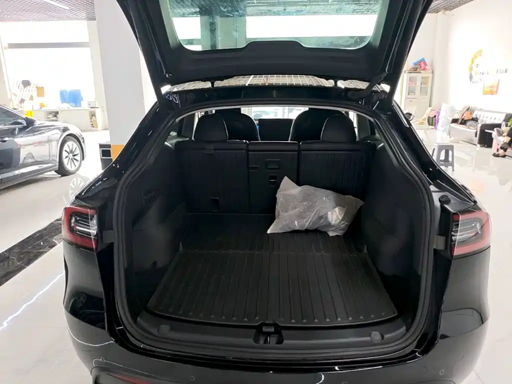 Tesla Model Y — миниатюра 19