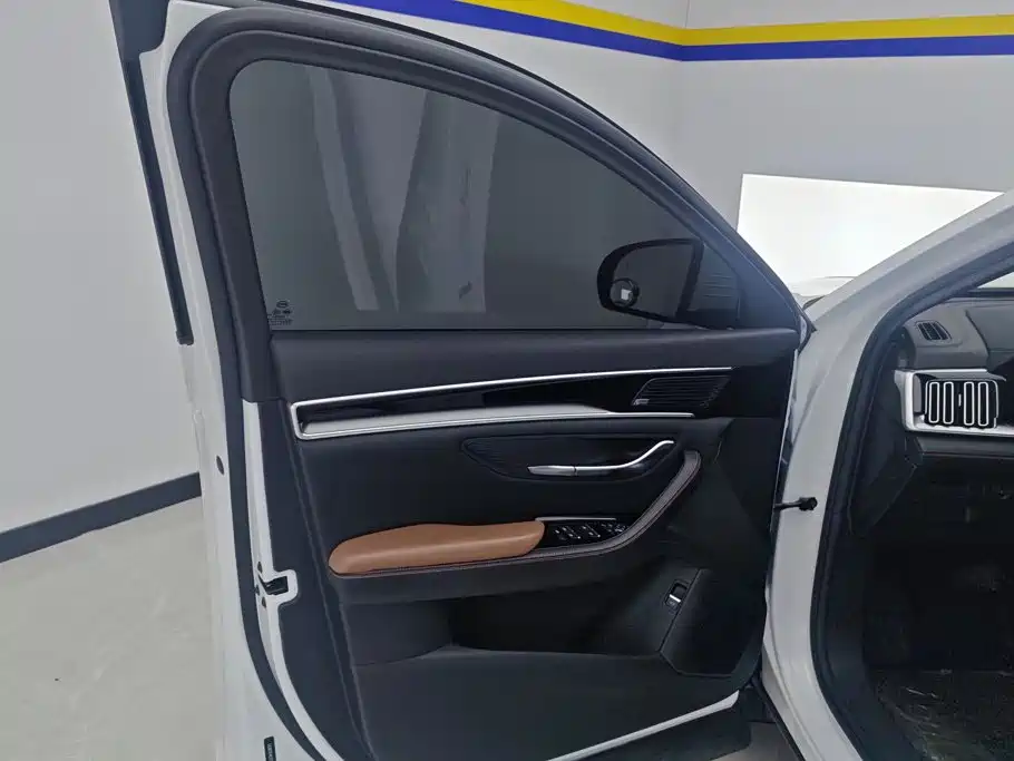 BYD PLUS — миниатюра 7