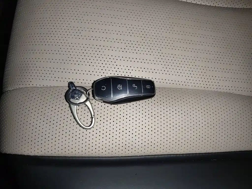 BYD Dolphin — миниатюра 9