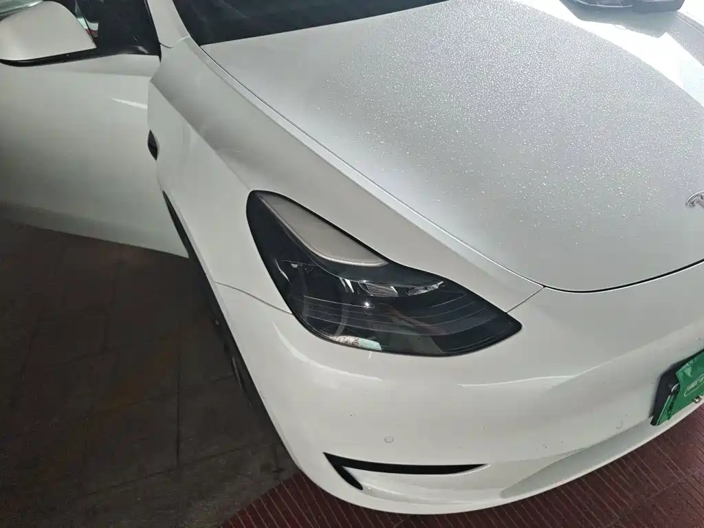 Tesla Model Y — миниатюра 7