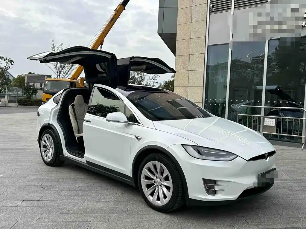 Tesla Model X 2017 Model X 100D