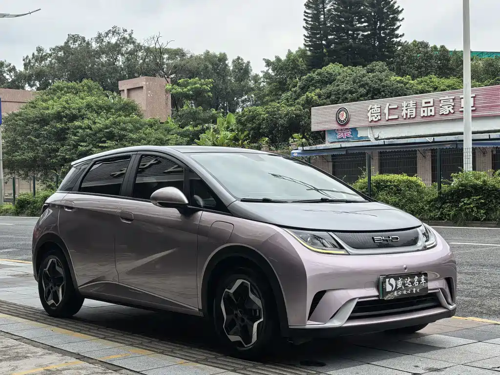 BYD Dolphin — миниатюра 3