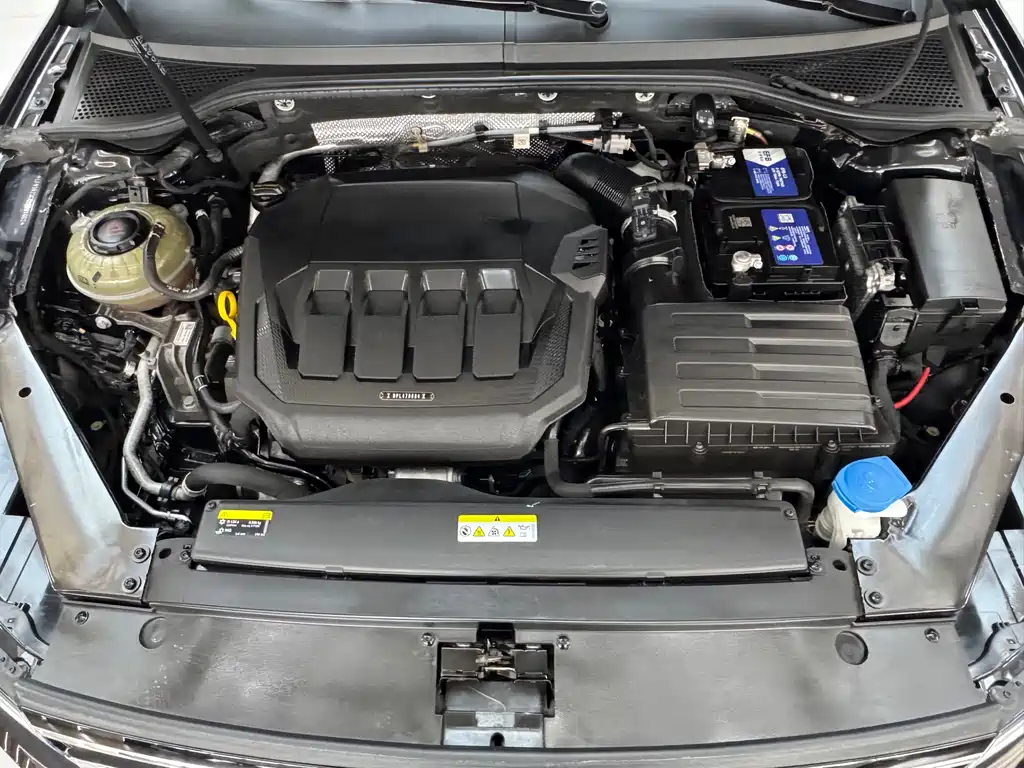 Volkswagen Magotan 2020 330TSI DSG Lead