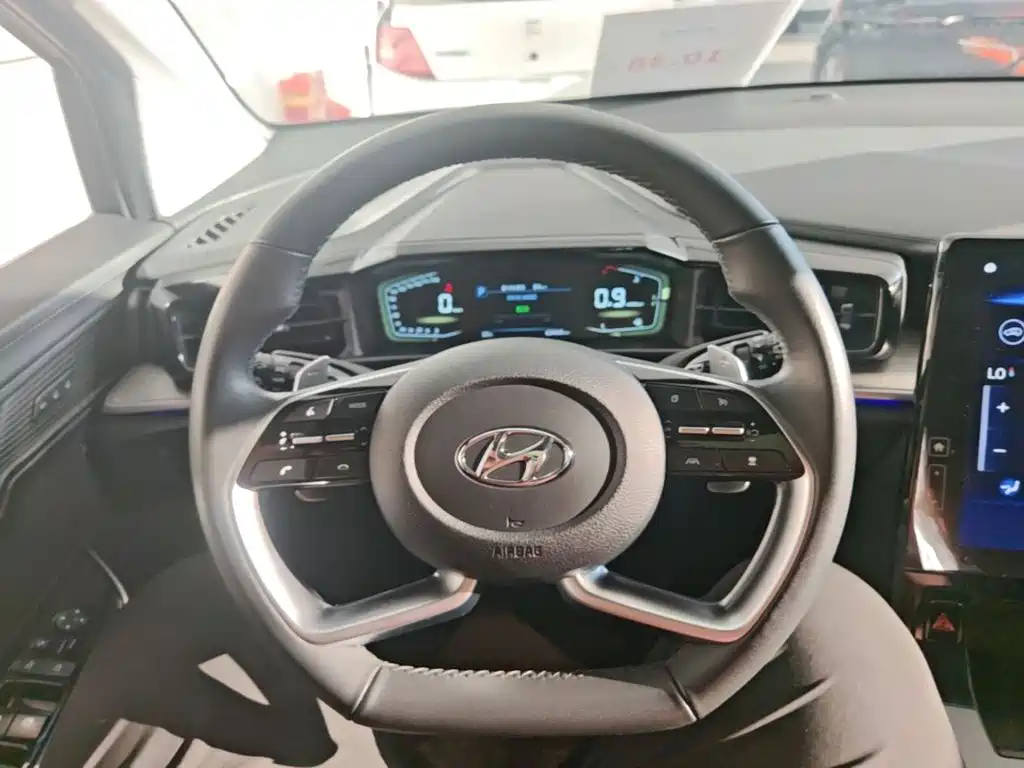 Hyundai Custo — миниатюра 11