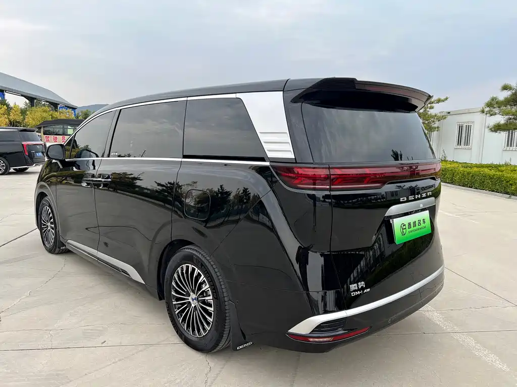 Denza Denza D9 — миниатюра 21