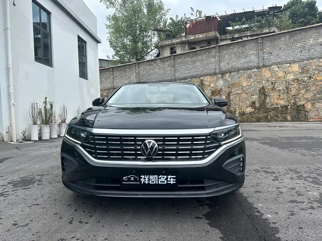 Volkswagen Passat — миниатюра 2