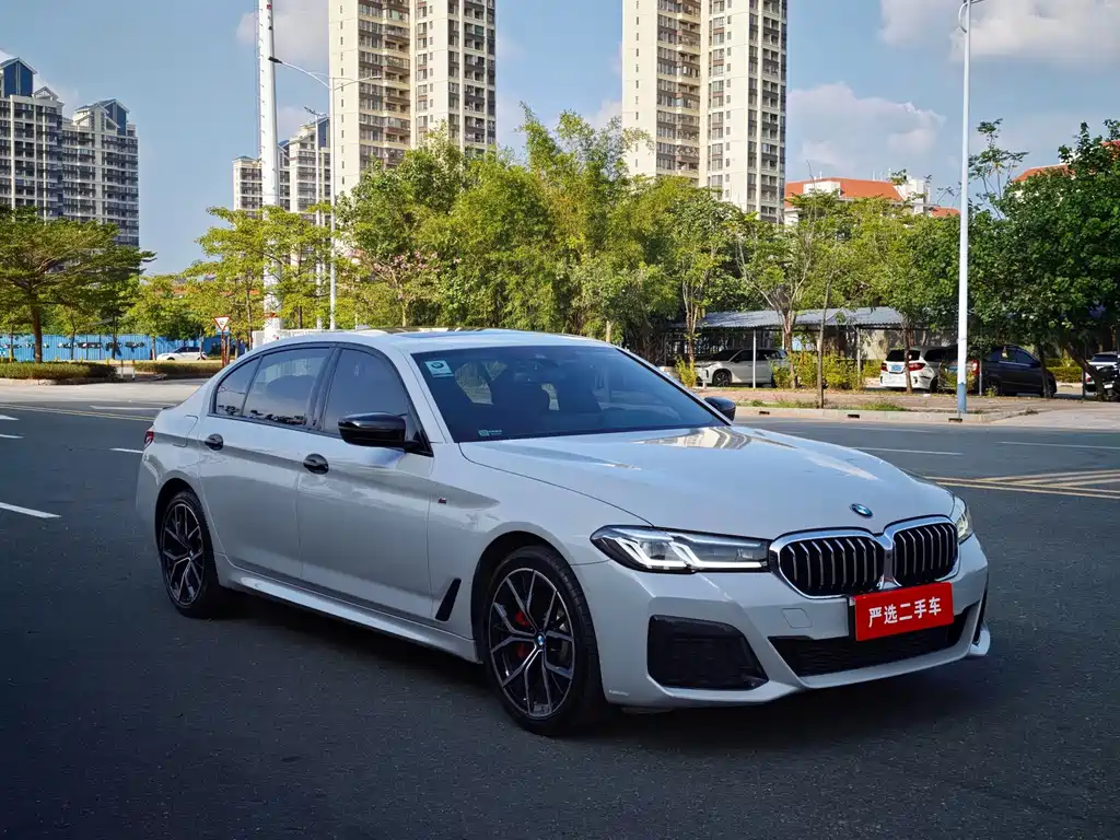 BMW 5 Series — миниатюра 2