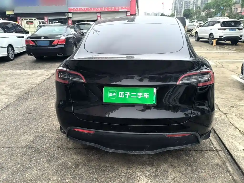 Tesla Model Y — миниатюра 6