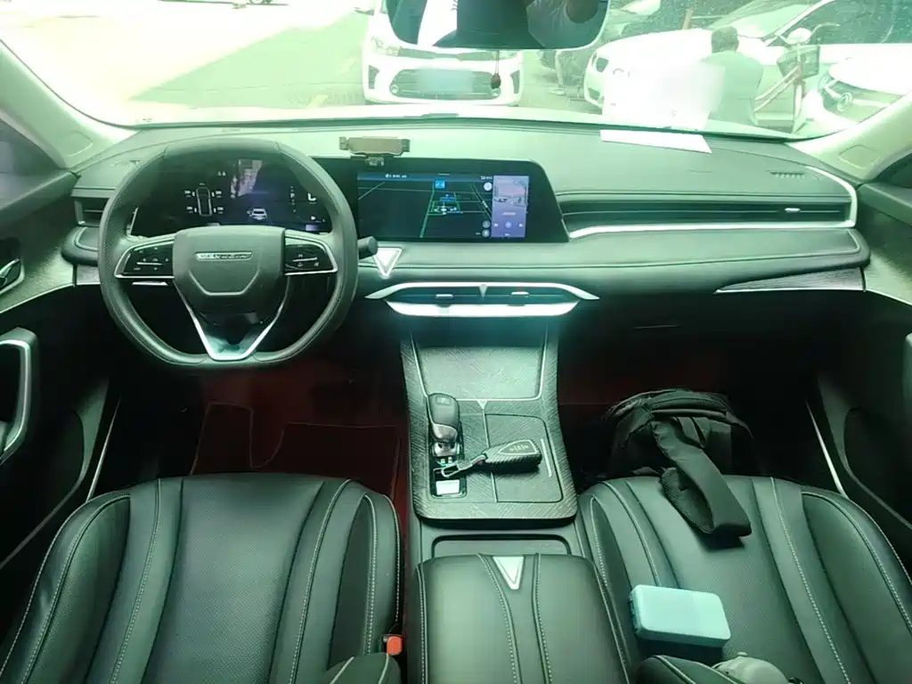 Venucia V 2021 260T