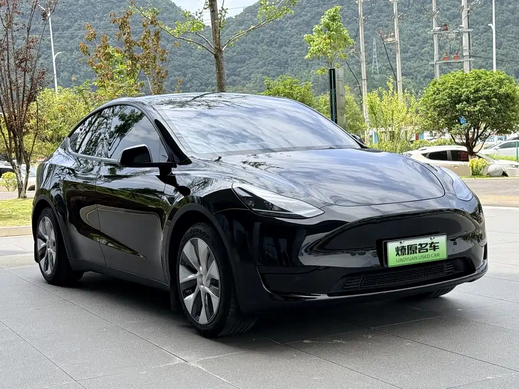 Tesla Model Y — фотографии объявления, Фото 4